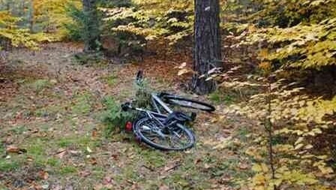 Region: Sprawca napadu na bank w rękach policji