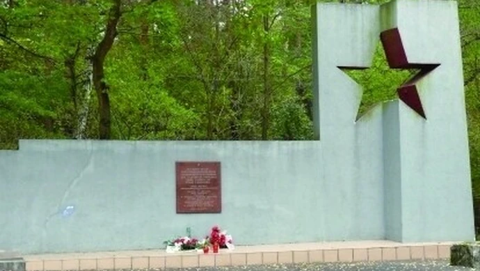 Mogiły w środku lasu