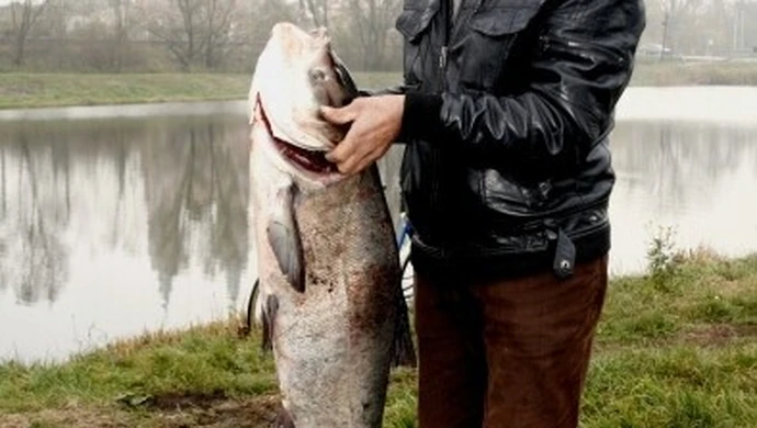 Region: Pan Franciszek Piątek złowił 18-kg rybę