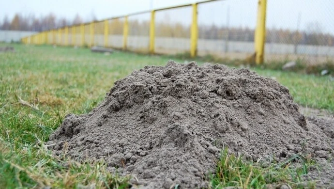 Dyrektor OSiR-u ma problem z kretami