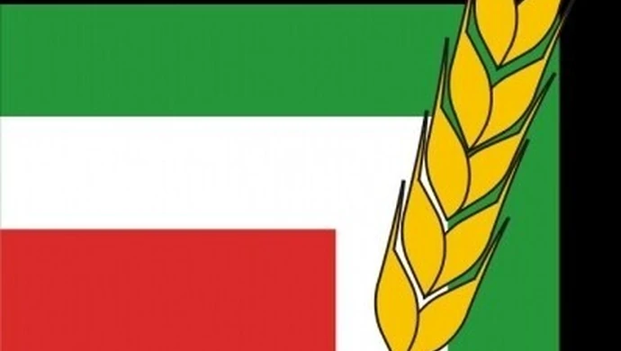 Kraj, region. Powiaty do likwidacji?