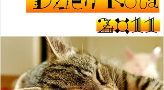 Światowy Dzień Kota w "Spirali"