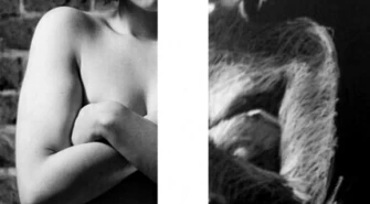 Bajeczki dla matek, żon i kochanek