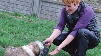 Nie jestem zaklinaczem psów