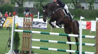 Koński weekend w Bogusławicach