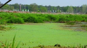 Niechcice: Ze smrodem nie wygrasz