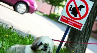 Piotrków: Psia paranoja na Łódzkiej