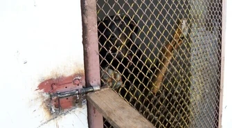 Piotrkowskie schronisko pełne usterek