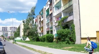 Piotrków: Osiedlowe koty zniszczyły mu samochód?