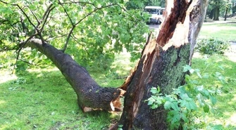 Piotrków: Duże zniszczenia po burzy