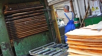 Sklejka Piotrków: Ostatni bastion przemysłu