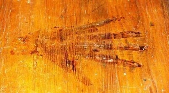 Spory trybunałów o czarcią łapę