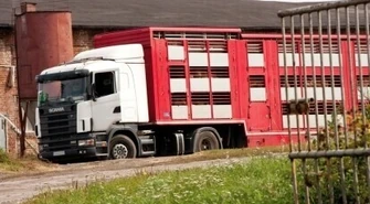 Śmierdzi i śmierdzieć będzie?