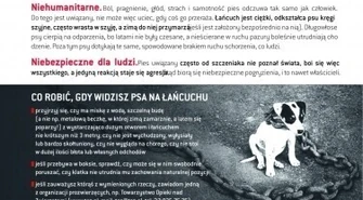 Happening: W niedzielę będą zrywać łańcuchy