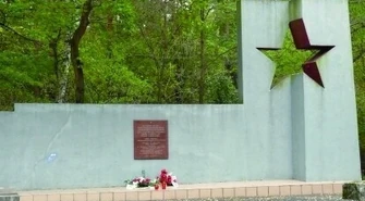 Mogiły w środku lasu