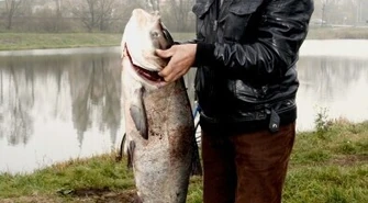 Region: Pan Franciszek Piątek złowił 18-kg rybę