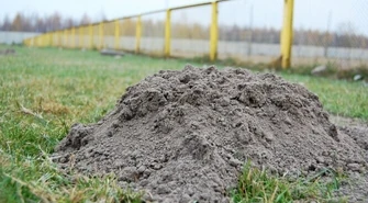 Dyrektor OSiR-u ma problem z kretami