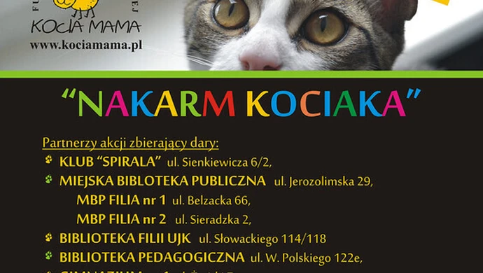 Akcja &quot;Nakarm kociaka&quot;