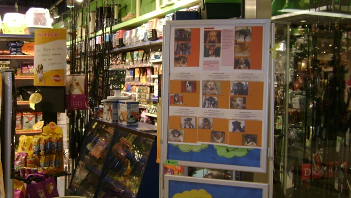  Akcja w Focus Mall "Aligator" sklep zoologiczny: Zaadoptuj szczeniaczka