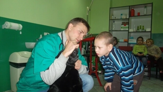 Wyleczyli kotkę i labradora