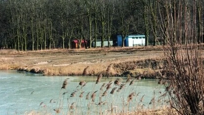 Wykopmy sobie czołg