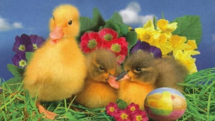 POGODA : Wstępna prognoza pogody na weekend.