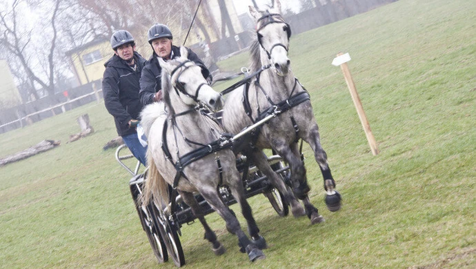 Bogusławice: Sezon powożeniowy otwarty