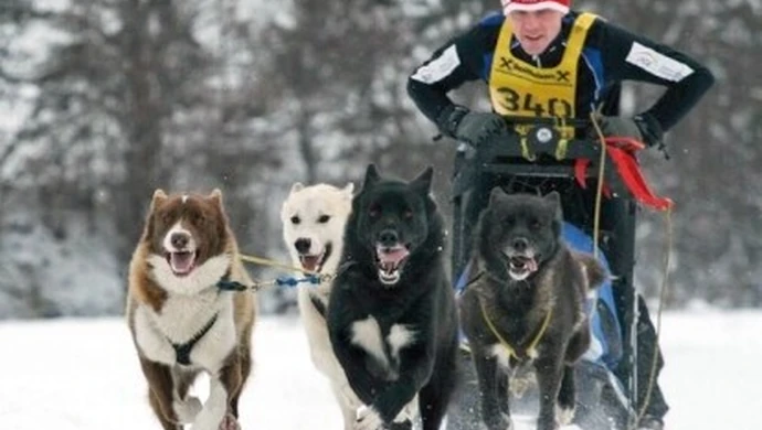 Wszystko zaczęło się od psa z cyrku