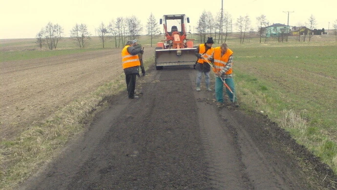 Posadzą rajskie jabłonie i szmaragdowe tuje