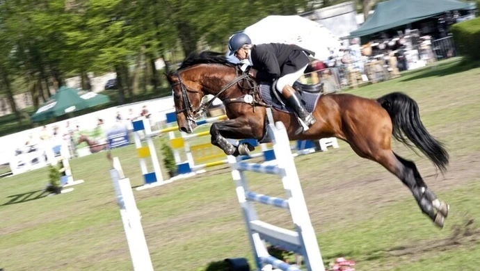 Bogusławice: Grand Prix dla Polaka