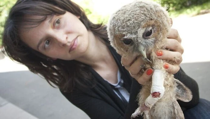 Od miesiąca opiekuje się małym puszczykiem