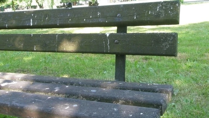 Wreszcie uporządkują park?