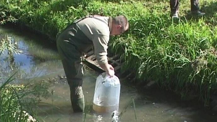 Region: Jaź pływa w Rakówce