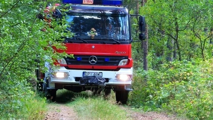 Region: W Skotnikach podpalają lasy?