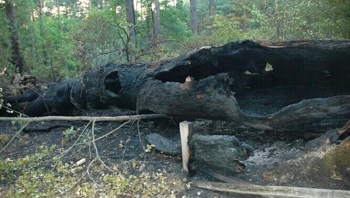 4 tysiące dla tego, kto wskaże sprawcę