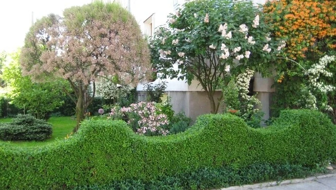 Ogródki przy blokach nie są żadnym problemem