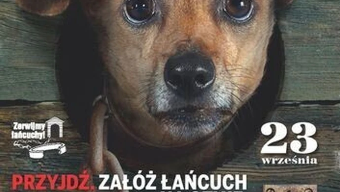 Zrywamy łańcuchy: Bądź bratem – nie katem!