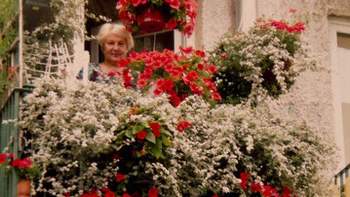 Wręczyli nagrodę za najpiękniejszy balkon
