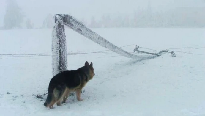 Setki osób bez prądu - usuwają awarie