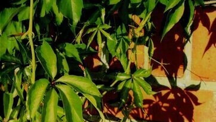 Spotkanie autorskie Danuty Muchy