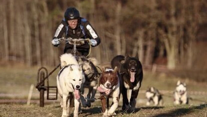  Sezon rozpoczął mistrzostwem Polski