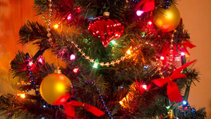 Piotrkowianie częściej ubierają żywą choinkę?