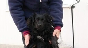 Kiedyś miałem rodzinę