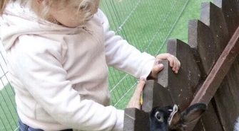 Palmy, pisanki i tradycyjny żur - Jarmark w Focusie