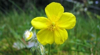 POGODA: Majówka przed nami. Co w pogodzie ?