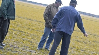 Region: Sarny i dziki niszczą naszą pracę