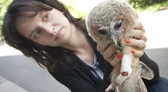 Od miesiąca opiekuje się małym puszczykiem