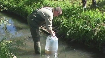 Region: Jaź pływa w Rakówce