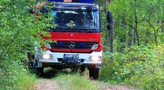 Region: W Skotnikach podpalają lasy?