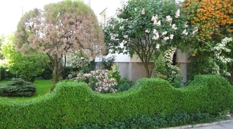 Ogródki przy blokach nie są żadnym problemem